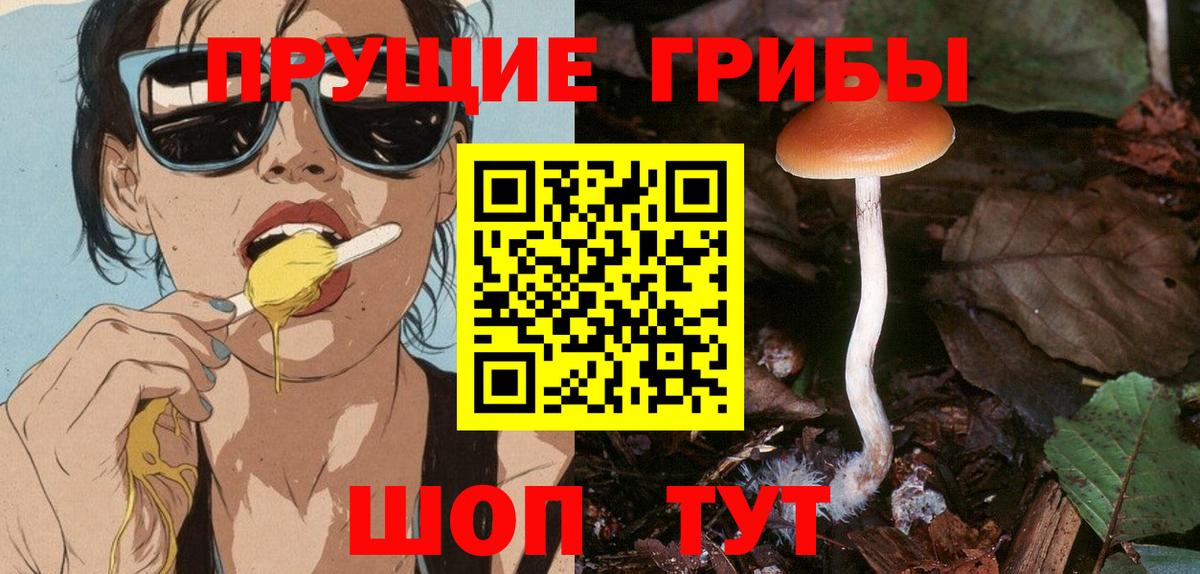 Галлюциногенные грибы Psilocybine cubensis  Галлюциногенные грибы Psilocybine cubensis  Вход с VPN  Тольятти 